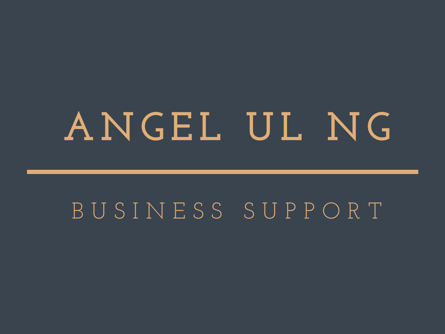 Angel UL Ng Business Support
